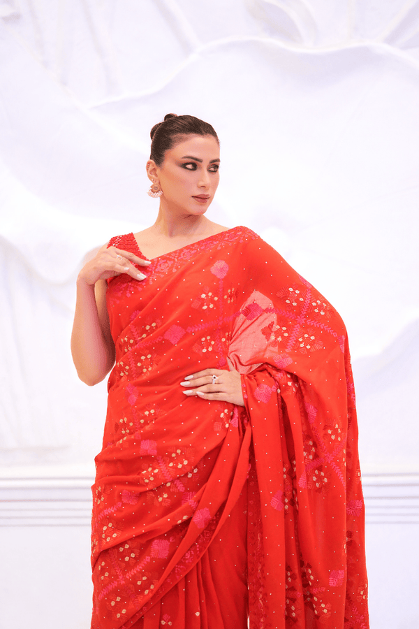 Extra image for Royal Rouge Saree
