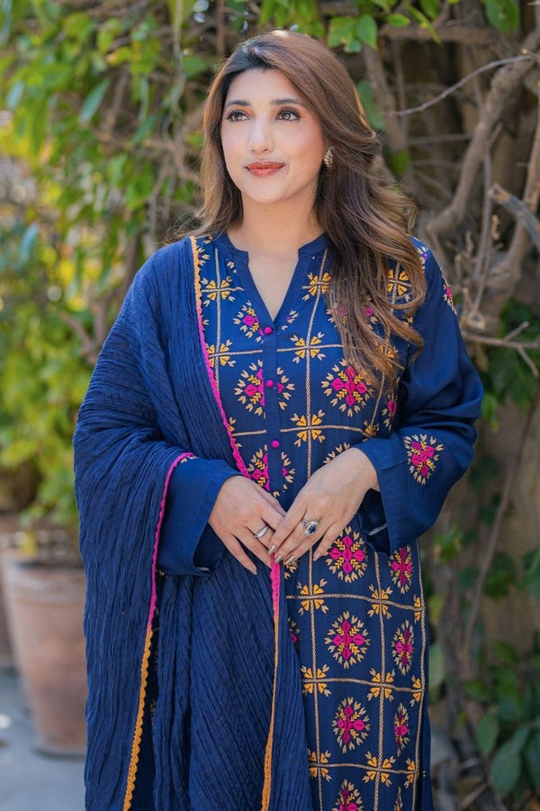 Extra image for PHULKARI SILK DRESS