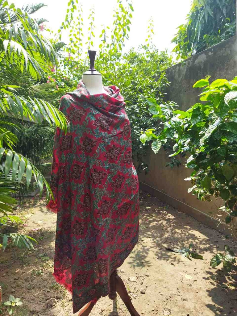 Woollen Pashmina Shawl with Kani Outline