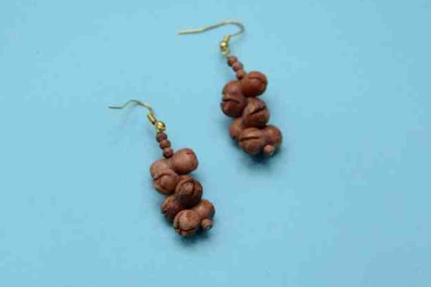 Camel Bone Craft Earrings