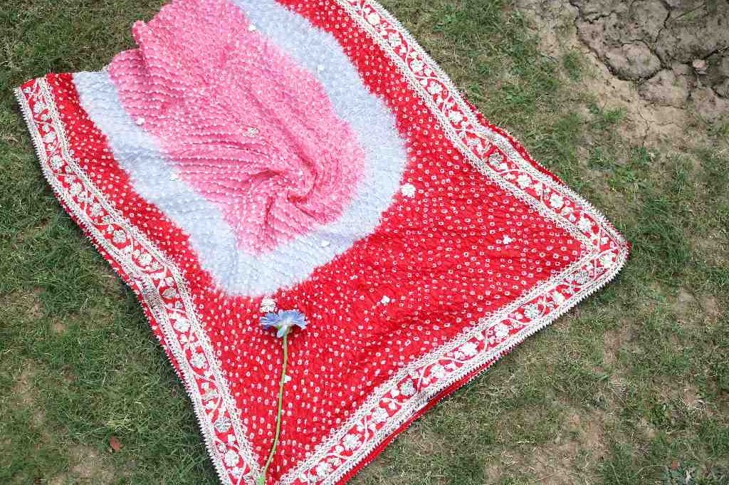 Gotta Work Embroided Dupatta