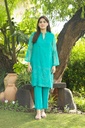 Hand Embroidered Suit