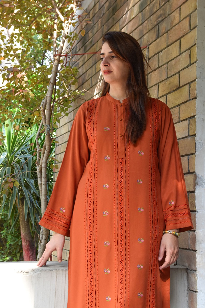 Chestnut Colour kurta