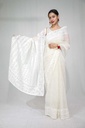 Organza Applique Saree