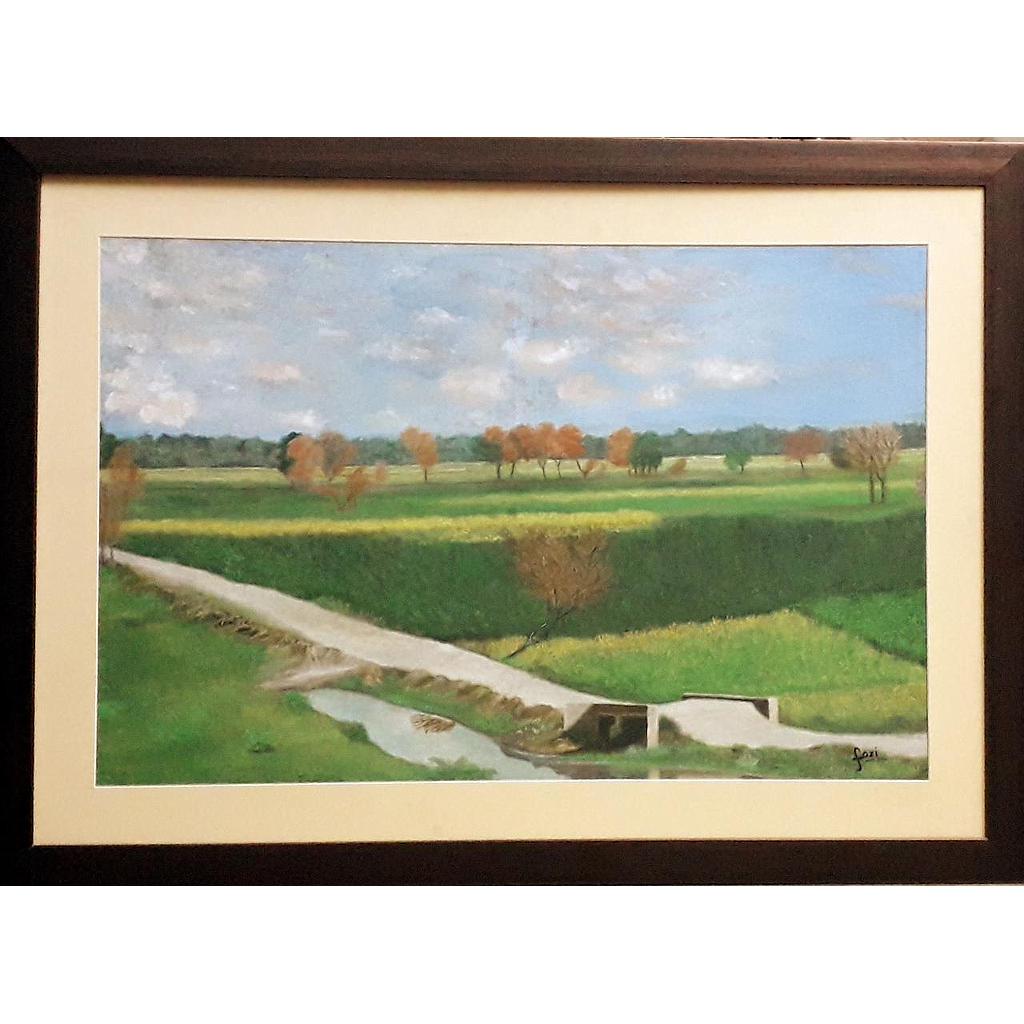 A way through fields