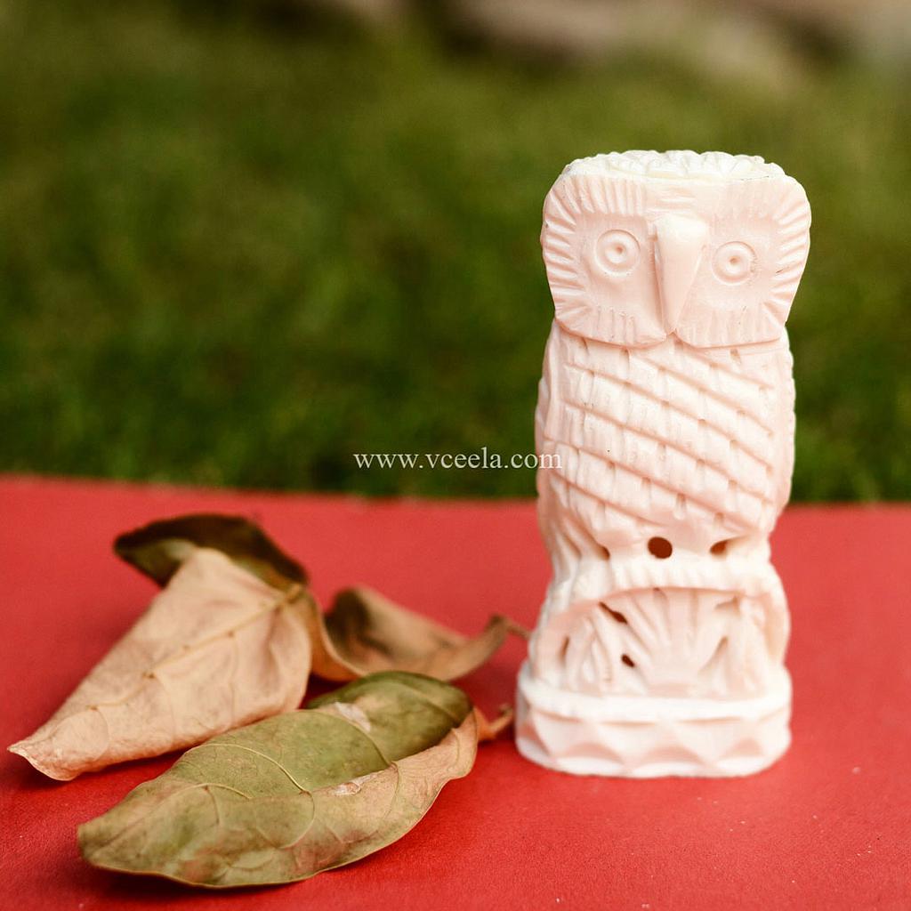 Camel Bone Hand Craf