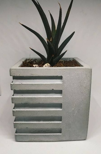 [PK0849-HM-TBW-011736] Cube Planter D2