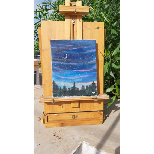 [PK4358-AR-ACR-013149] lucid dream