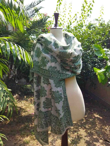 [PK0014-CW-SCF-017317] Woollen Pashmina Shawl with Kani Outline