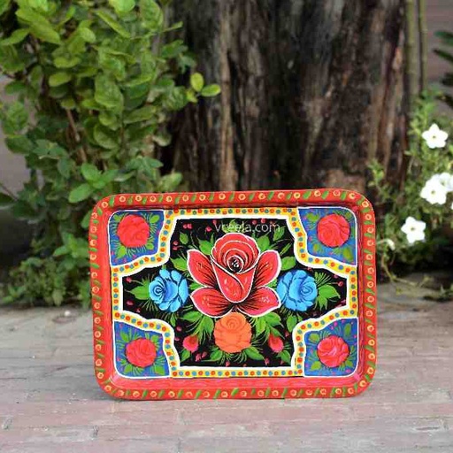 [PK0310-HM-WLH-023385] Truck Art Tray