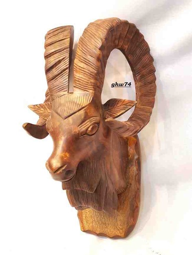 [PK0130-HM-WLH-023504] Markhoor Head Wall Hanging