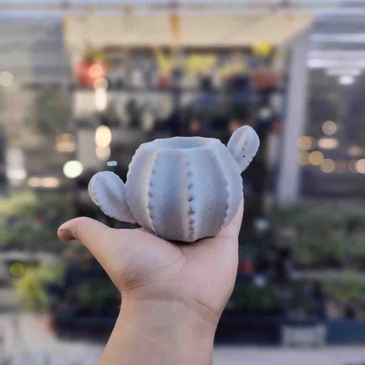 [PK0849-HM-PLN-024256] Cactus Shaped Planter