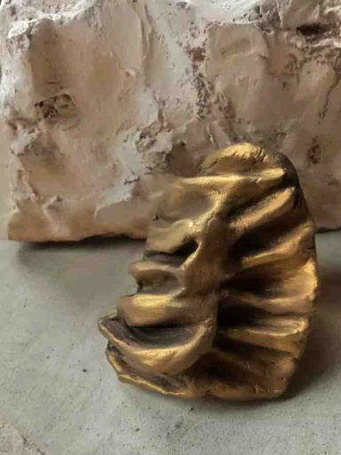 [PK5419-JW-RNG-029738] Hand sculpted ring.