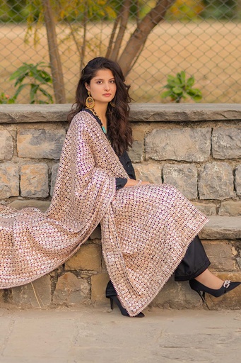 [1-Dupatta-24] Banarsi Dupatta