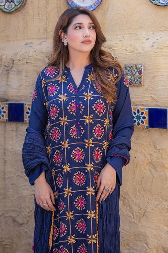 [1-KP-25] PHULKARI SILK DRESS