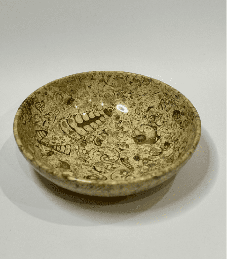 [VC-NUQ-NQMSBFBL14] Fossil Large Salad Bowl