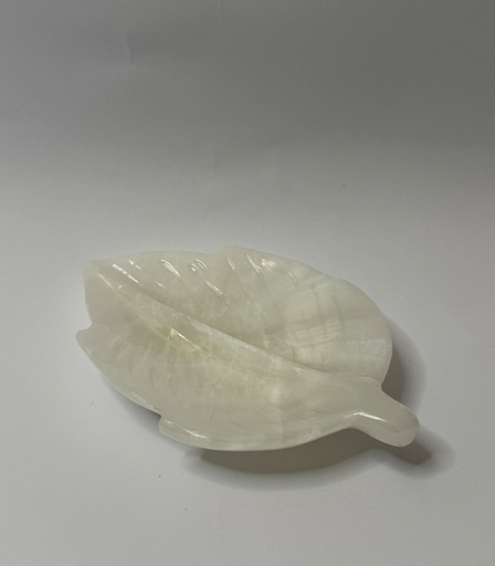 [VC-NUQ-NQMFLOG19] Leaf Shaped Trinket With Veined Sections