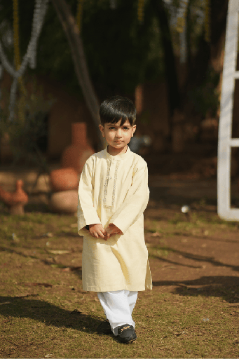 [3-BS-26] Lime Hand Tarkashi Kurta