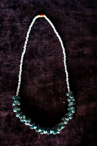 [PK0075-JW-NCK-000563] Camelbone Necklace