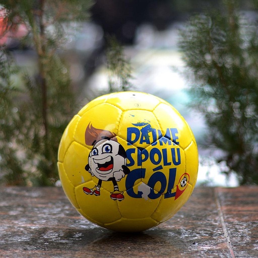 [PK0853-HL-SPO-005022] Hand stitched Football