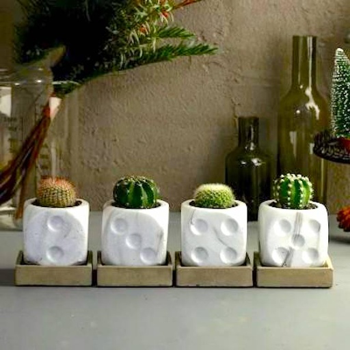 [PK0849-HM-PLN-005032] The Dice Planter - White